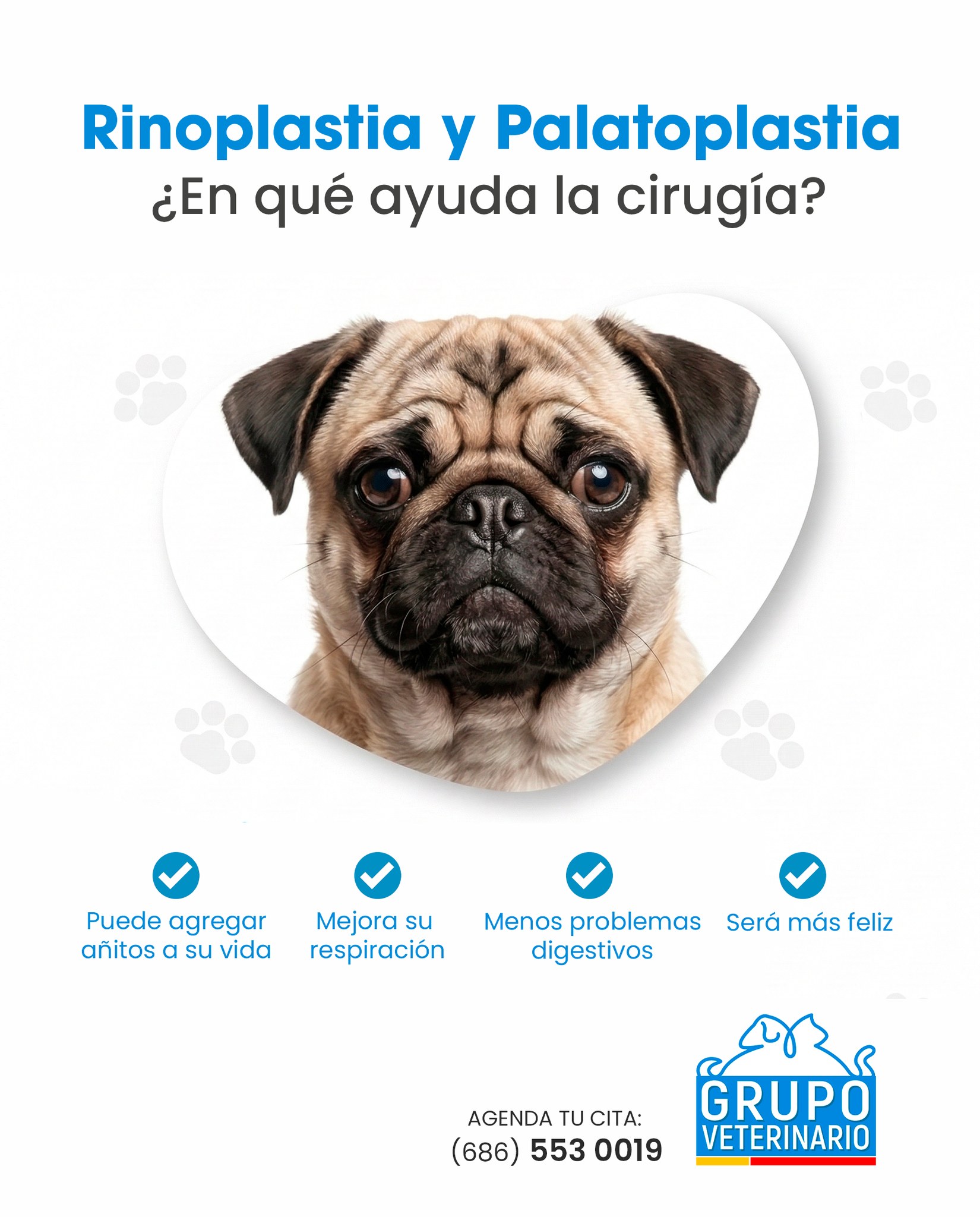 Diseño